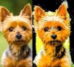 Hochauflösende digitale Zeichnungen – Bild 5